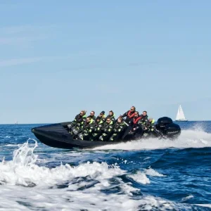 Skärgårdssafari i RIB-båt