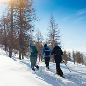 Snöskovandring