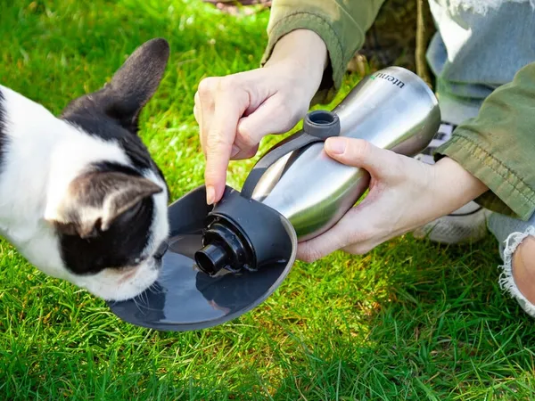 Vattenflaska för Hund - Utenu