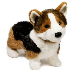 Welsh Corgi