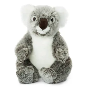 Koala - WWF