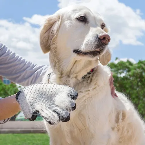 Borsthandske och massagehandske för hund/katt, Grå