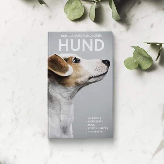 Den ultimata handboken Hund