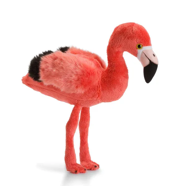 Flamingo - WWF